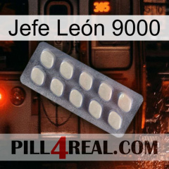 Jefe León 9000 08